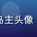 爱情岛独家论坛首席内容官陈岛主头像，负责独家内容策划与版权管理